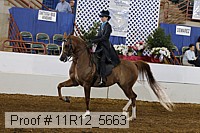 11r12_5663 proof