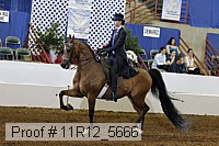 11r12_5666 proof