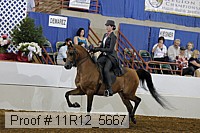 11r12_5667 proof