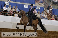 11r12_5673 proof