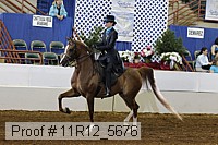 11r12_5676 proof