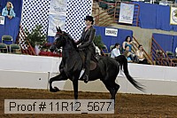 11r12_5677 proof