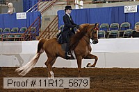 11r12_5679 proof