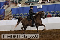 11r12_5683 proof