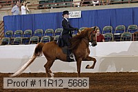 11r12_5686 proof
