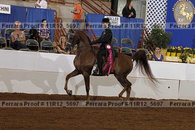 Proof 11r12_5697