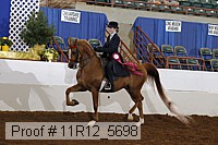 11r12_5698 proof