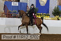 11r12_5702 proof