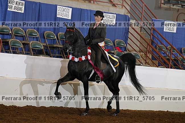 Proof 11r12_5705