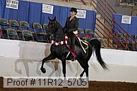 11r12_5705 proof