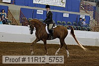 11r12_5753 proof
