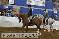 11r12_5764 proof