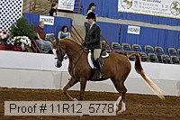 11r12_5778 proof