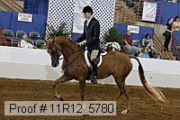 11r12_5780 proof