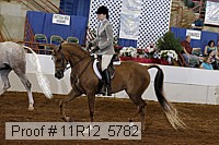 11r12_5782 proof