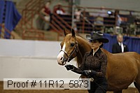 11r12_5873 proof