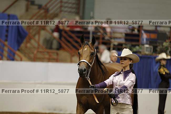 Proof 11r12_5877