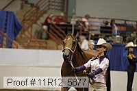 11r12_5877 proof