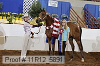 11r12_5891 proof