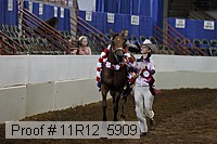 11r12_5909 proof
