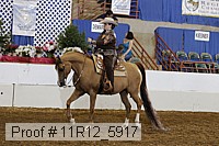11r12_5917 proof
