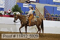 11r12_5929 proof
