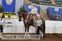 11r12_5938 proof