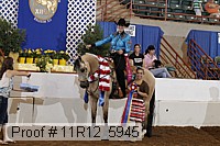 11r12_5945 proof