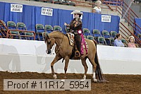 11r12_5954 proof