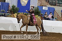 11r12_5958 proof