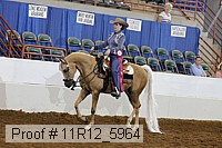 11r12_5964 proof
