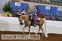 11r12_5965 proof