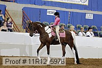 11r12_5976 proof