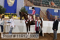 11r12_5982 proof