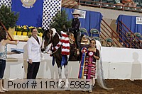 11r12_5985 proof