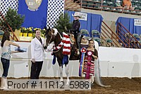 11r12_5986 proof