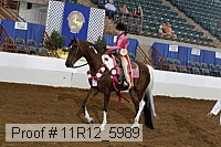 11r12_5989 proof
