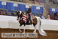 11r12_5992 proof