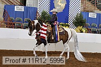 11r12_5995 proof