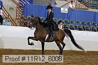 11r12_6008 proof