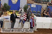 11r12_6017 proof