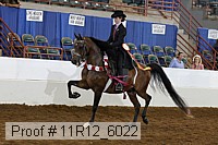 11r12_6022 proof