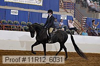 11r12_6031 proof