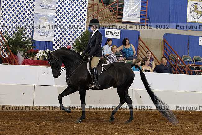 Proof 11r12_6032