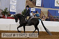 11r12_6032 proof