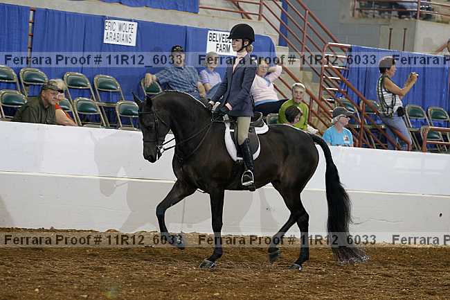 Proof 11r12_6033