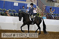 11r12_6033 proof