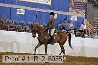 11r12_6035 proof