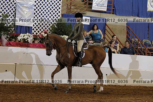 Proof 11r12_6036