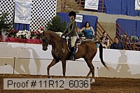 11r12_6036 proof
